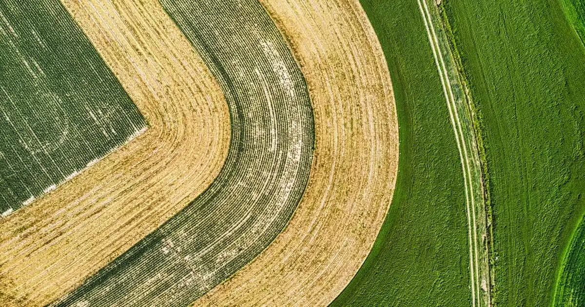 2025'te Kuru Ciltlerin Kurtarıcısı: Dermoskin Nemlendirici Kremlerle Tanışın