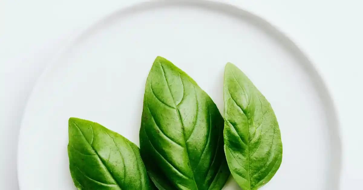 Desitin Krem Nedir? Bebek ve Hassas Ciltler İçin Güvenilir Koruyucu Ürün