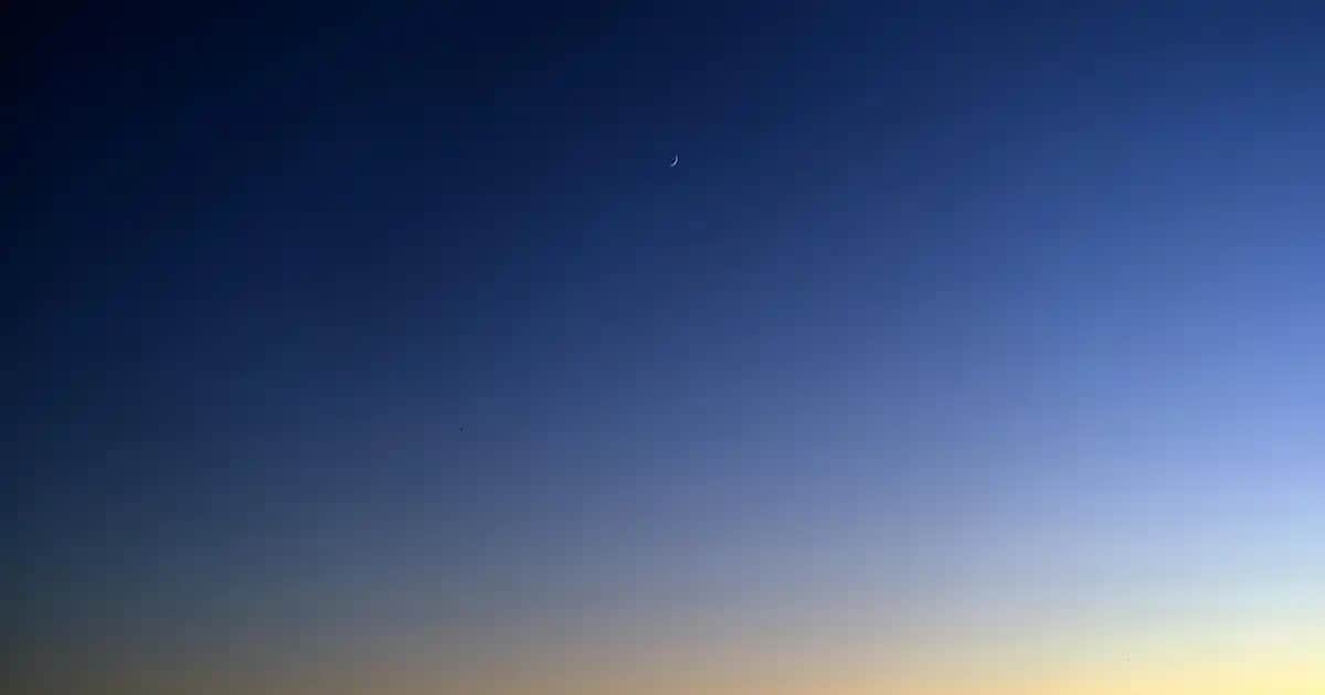 Dil Temizleme Aletleri ile Günlük Ağız Bakımınızı Geliştirin ve Ferah Bir Nefes Elde Edin