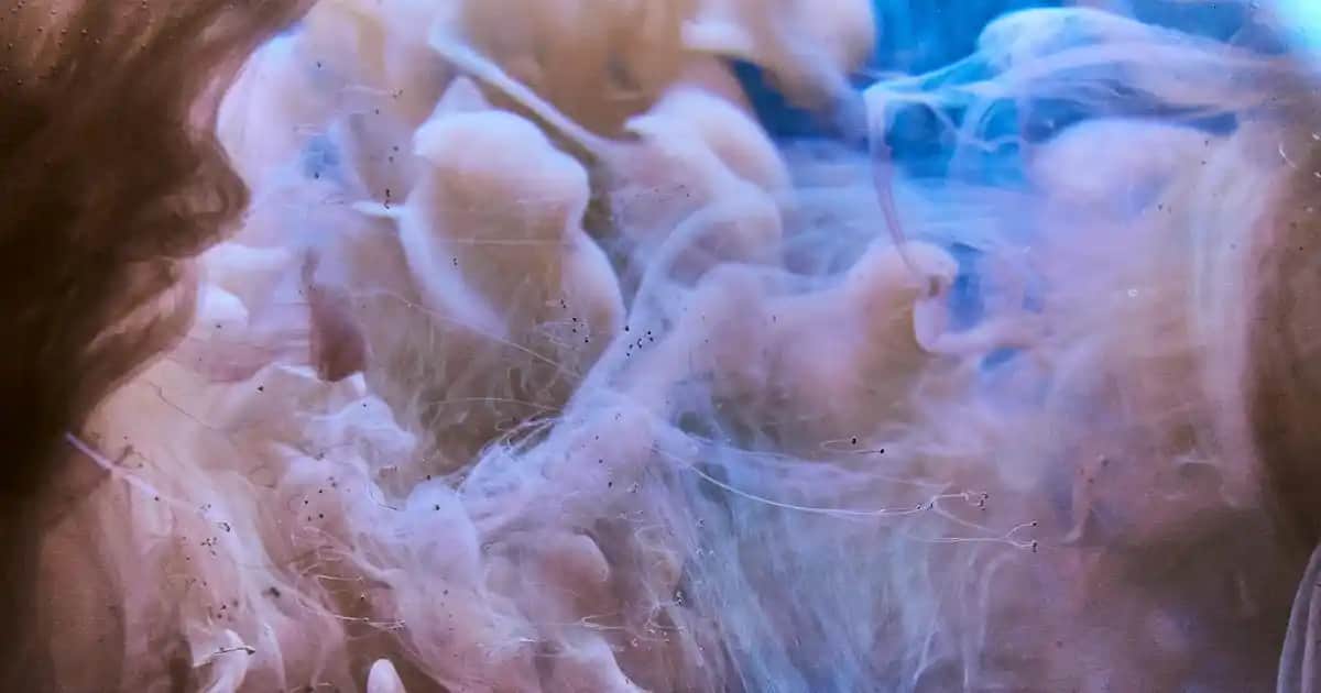 Doğal Roll-On Deodorantler: Sağlıklı ve Çevre Dostu Terleme Kontrolü Seçenekleri