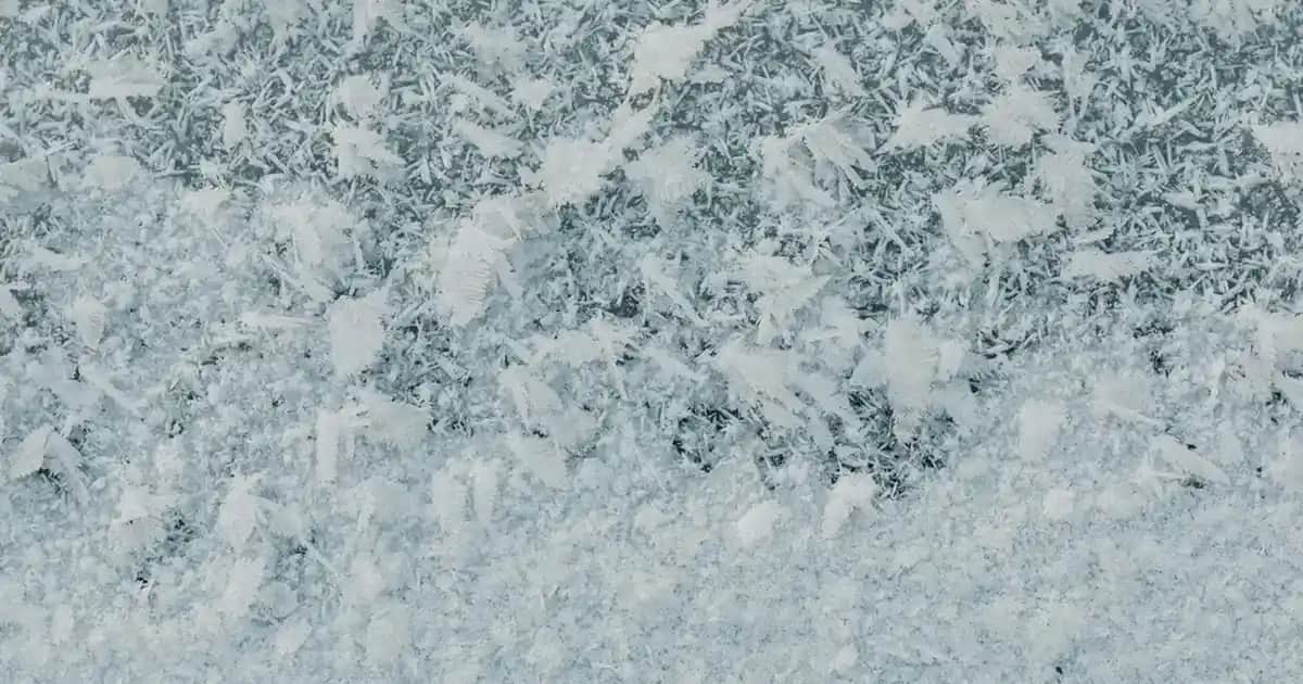 Doğal ve Bitkisel Saç Şampuanlarıyla Saç Sağlığınızı Koruyun ve Güçlendirin