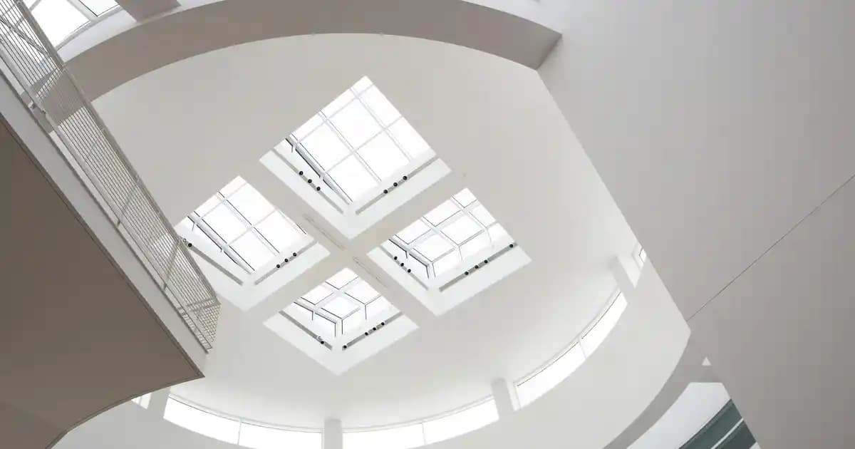 Driclor Fiyatları ve Kozmetik Sektöründeki Yeri Hakkında Kapsamlı Bilgi