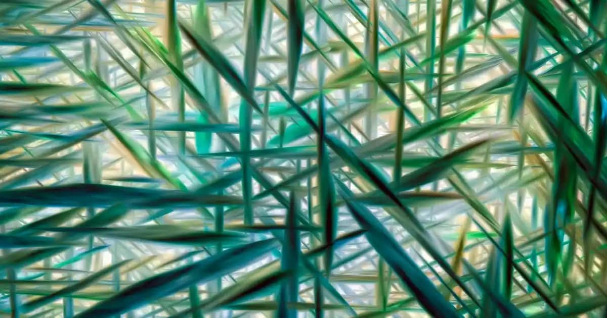 Dudak Yarası ve En İyi Dudak Kremi Seçenekleri Hakkında Detaylı Bilgi