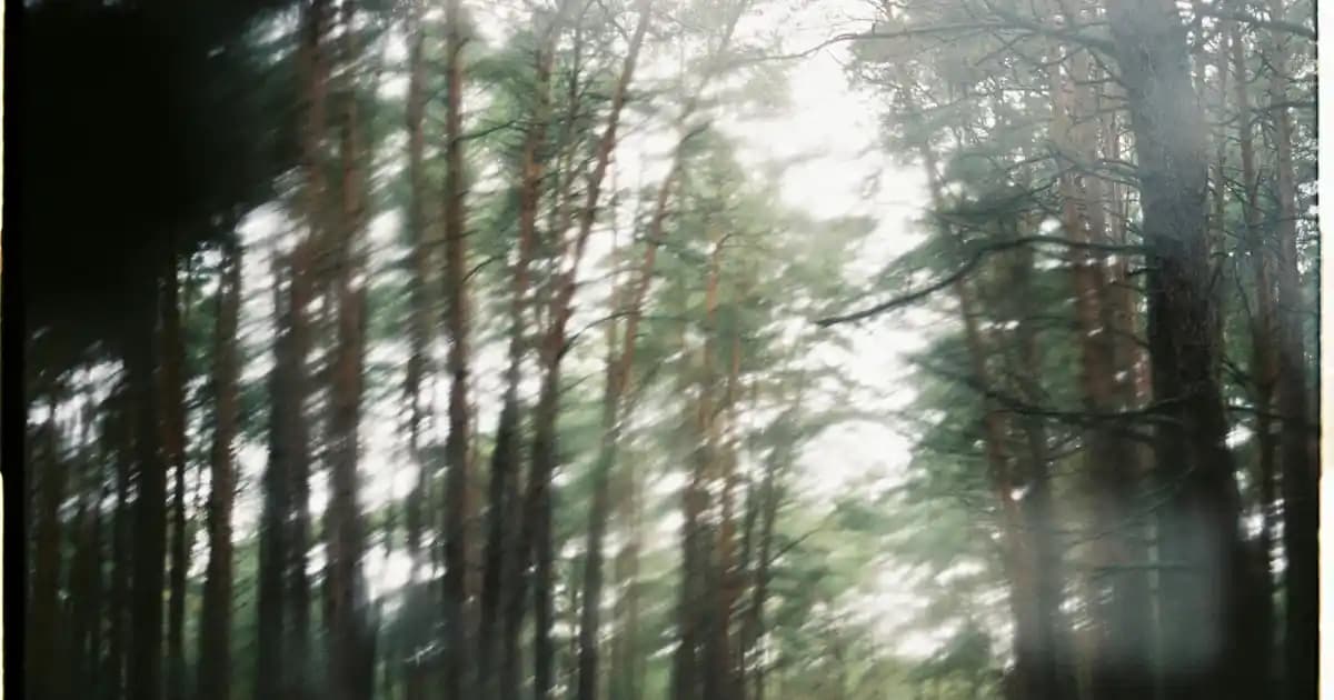 Durex Naturals Pure Kayganlaştırıcı Jel: Doğal ve Güvenilir Cinsel Konfor Ürünü