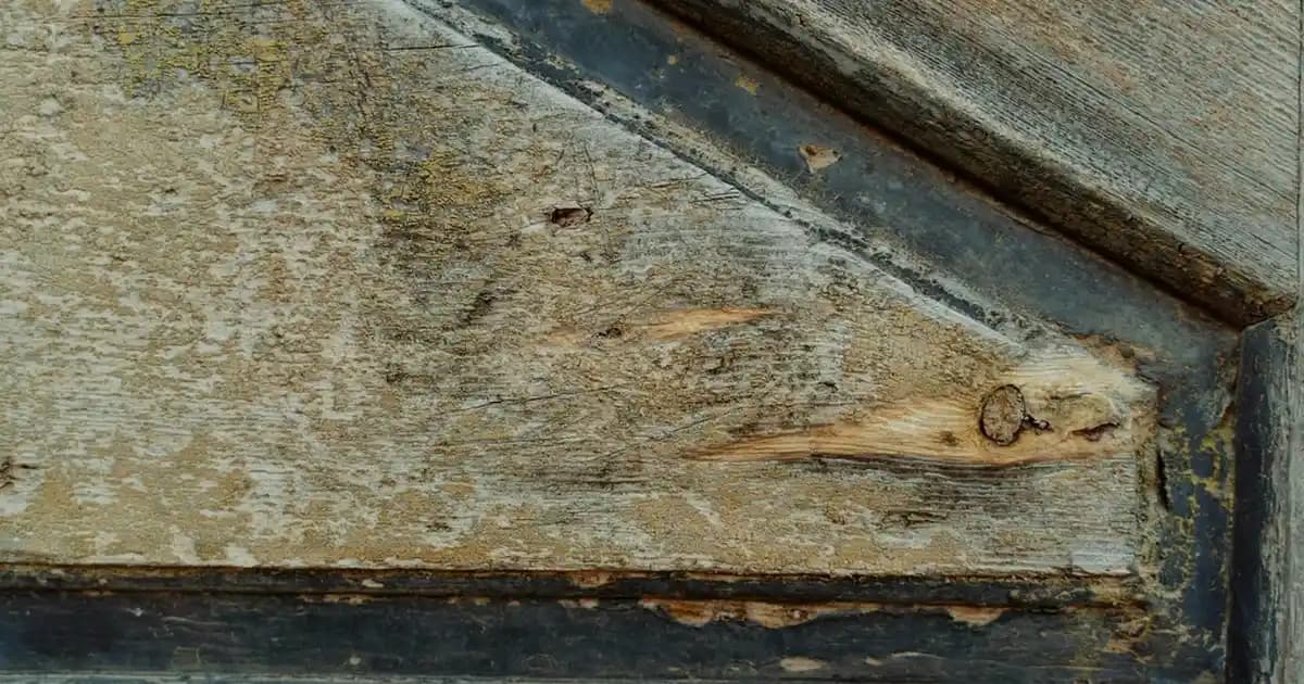 Durulama Gerektirmeyen Saç Kremi Seçenekleri ve Saç Bakımında Kolaylıklar