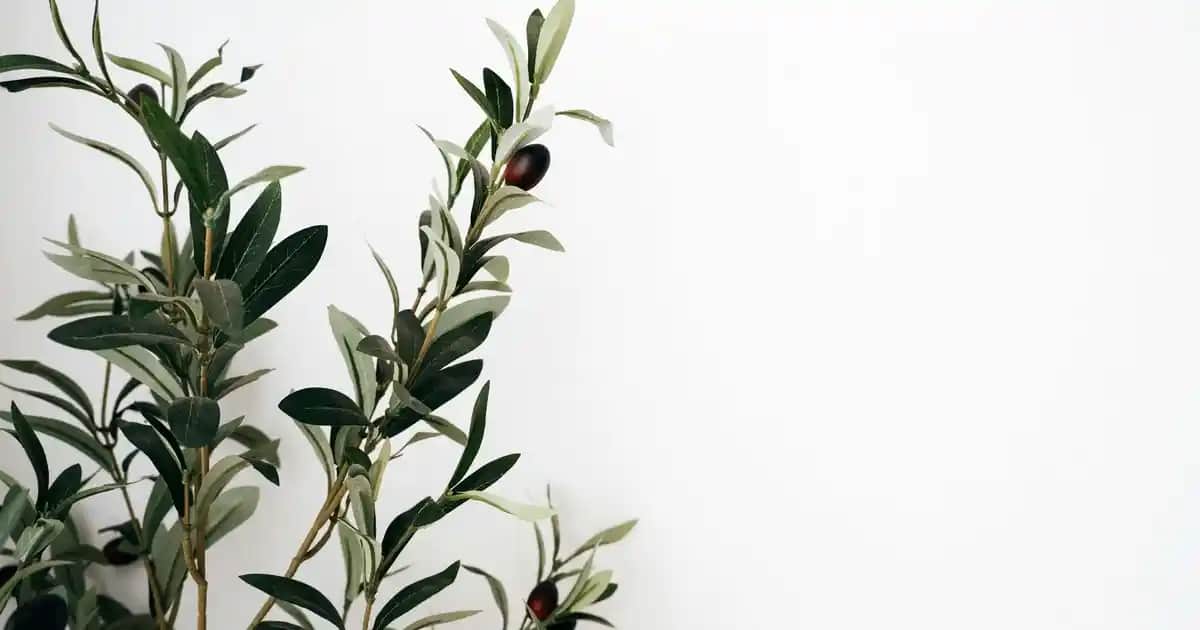 Dynavit Collagen Pro: Cilt ve Eklem Sağlığını Destekleyen Güçlü Takviye