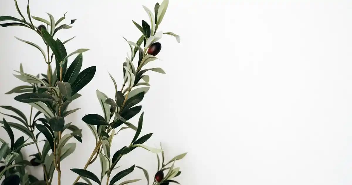 Dynavit Collagen Pro: Cilt ve Eklem Sağlığını Destekleyen Güçlü Takviye