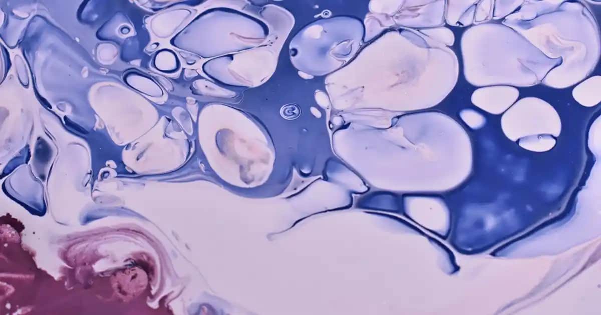 Eau Parfüm Nedir ve Hangi Türleri Tercih Edilmeli