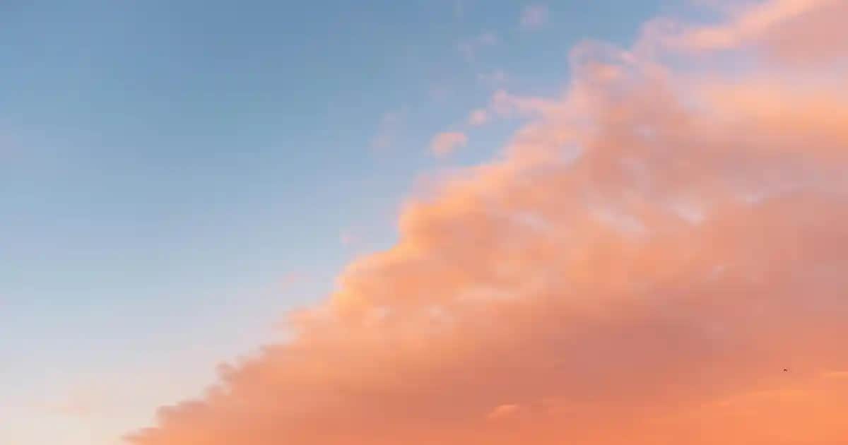 Eczanelerde Satılan Etkili ve Güvenilir Bit İlacı Seçenekleri ve Kullanım İpuçları