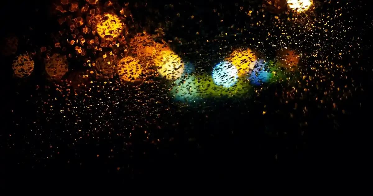 Egzama Şampuanı Seçiminde Bilmeniz Gerekenler ve En İyi Ürün Tavsiyeleri