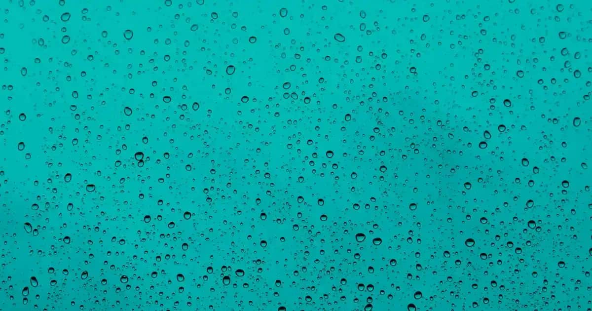 Emotion deodorant çeşitleri: Günlük kullanım için geniş ürün yelpazesi ve özellikleri