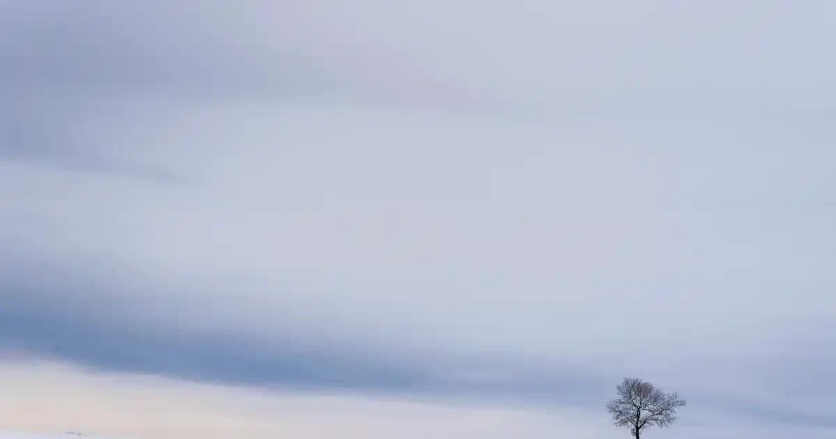 En Güvenilir ve Doğal Maskelerle Cilt Sağlığınızı Koruyun ve Güzelliğinizi Artırın