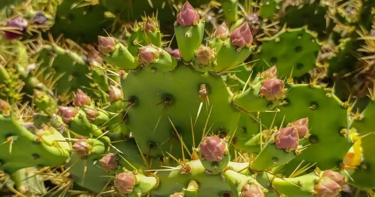 En İyi Dipliner Seçimi ve Kullanım Rehberi: Kalıcı ve Suya Dayanıklı Ürünler