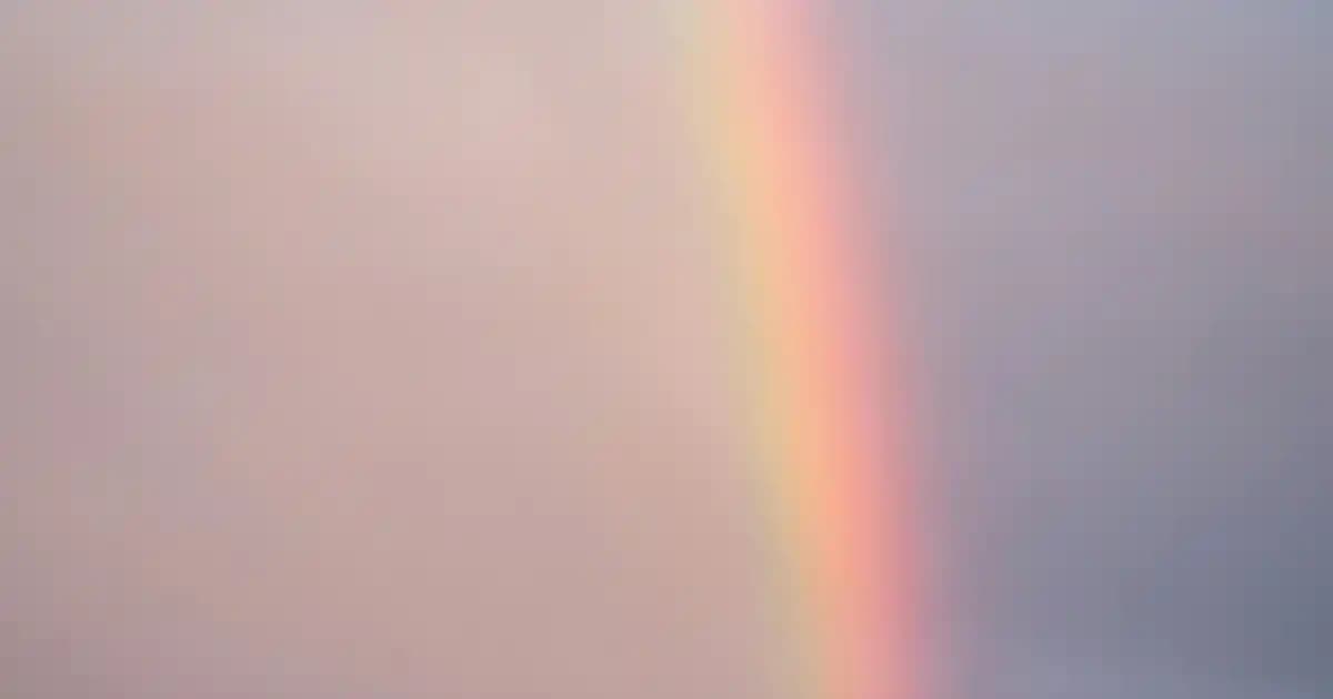 En İyi Doğal Şampuan Seçimi ve Saç Sağlığı İçin Bilmeniz Gerekenler