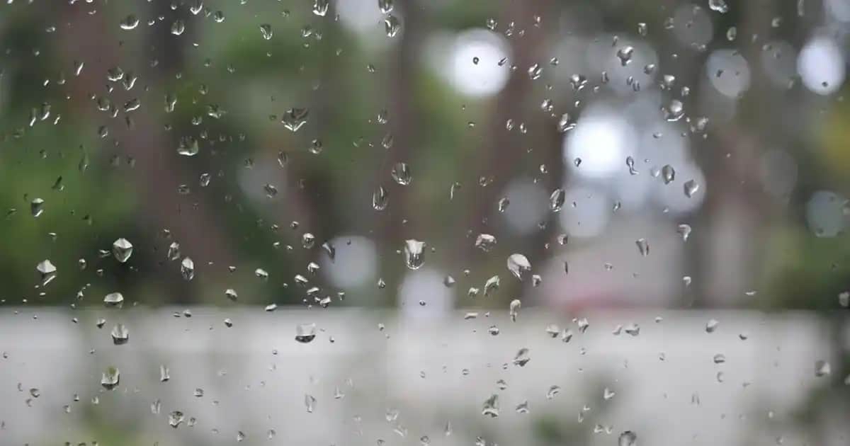 En İyi Kepek Şampuanları ve Saç Derisi Sağlığını Koruyan Çözümler