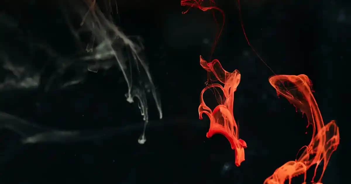 Face Mist Nedir ve Günlük Cilt Bakımında Nasıl Kullanılır