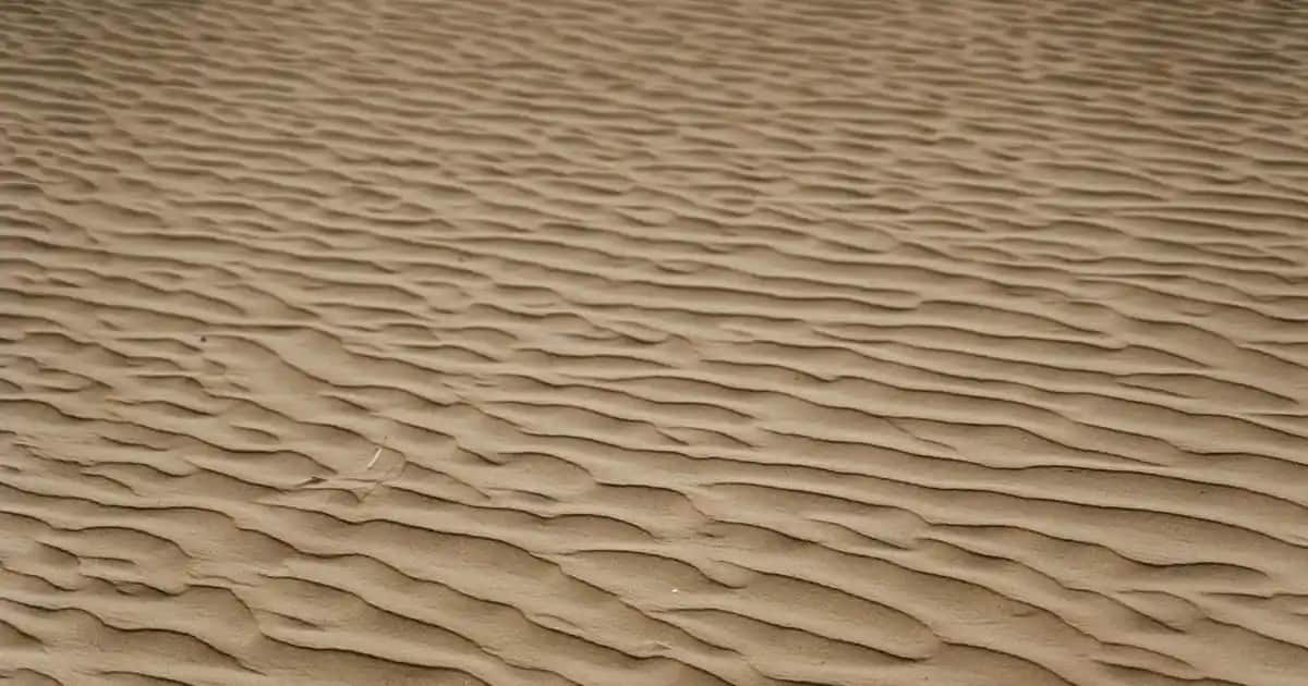 Farmasi Kadın Roll-On Ürünleri: Günlük Konfor ve Güven İçin En İyi Seçenekler