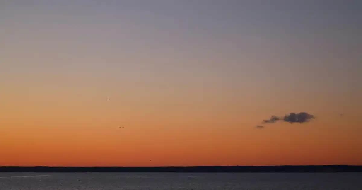 Flormar Dudak Kalemi: Renkli ve Kalıcı Makyaj İçin En İyi Seçenekler