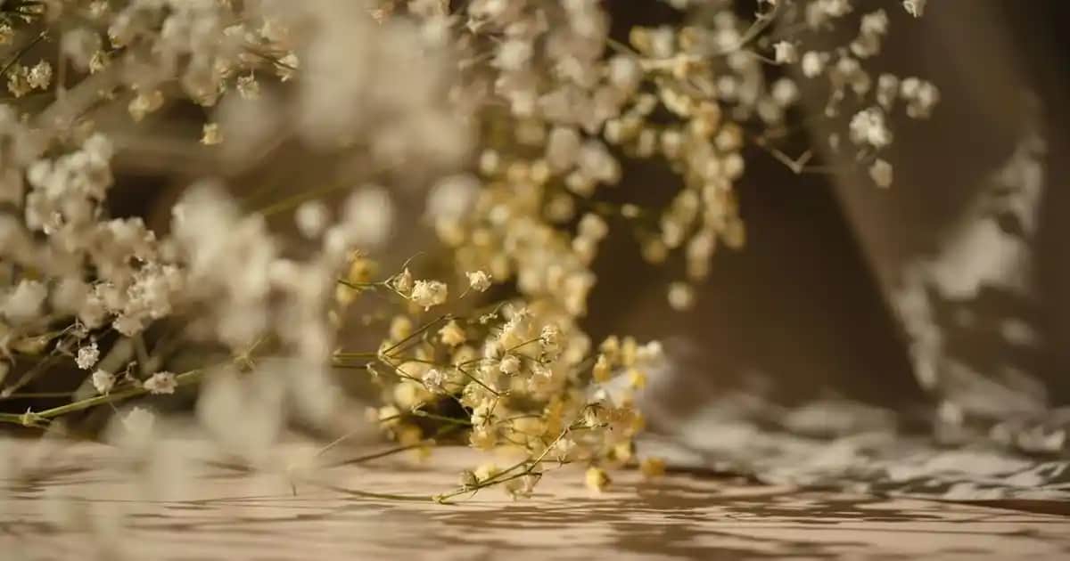 Flormar Maskara Çeşitleri ve En İyi Seçenekler Hakkında Kapsamlı Rehber