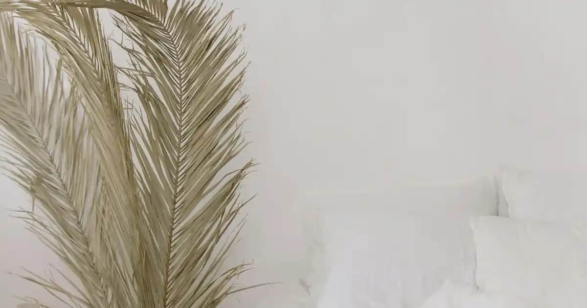 Flormar PL384 Le Rouge Parlak ve Şık Kırmızı Oje Özellikleri ve Kullanım İpuçları