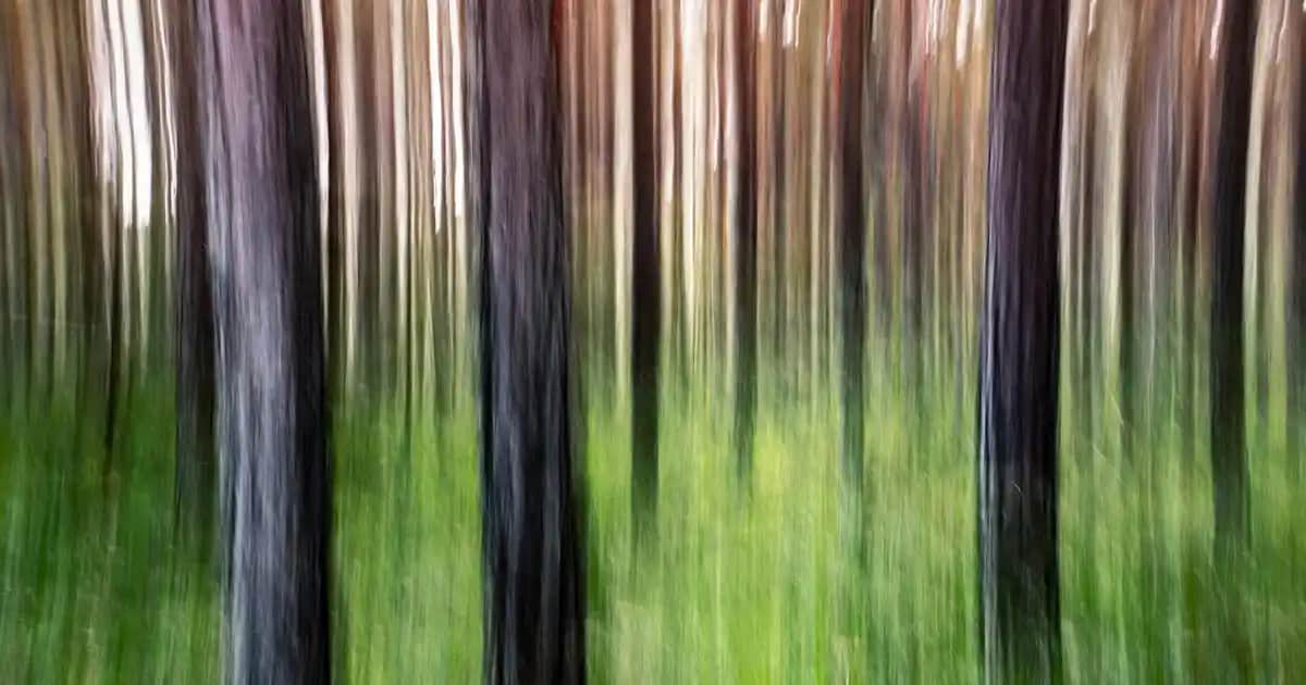 Flormar Suya Dayanıklı Maskara Serisi: Kalıcılık ve Dolgunlukta En İyi Seçenekler