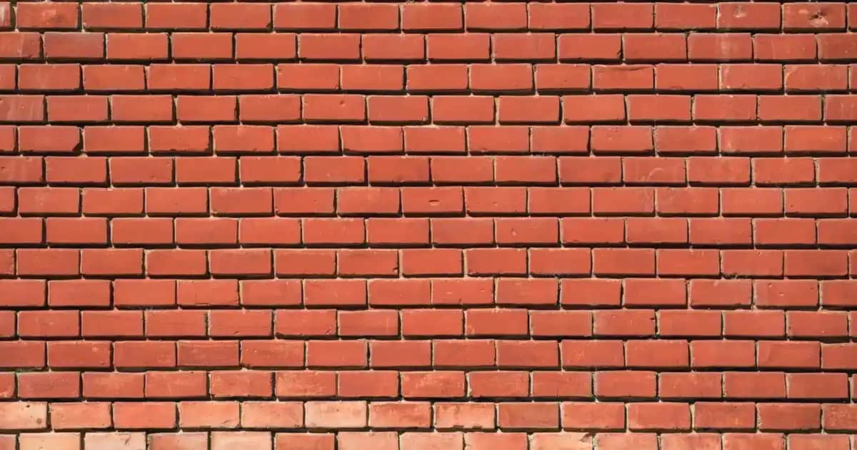 Flormar Terracotta Allık ile Doğal ve Işıltılı Yanaklar İçin En İyi Seçenekler