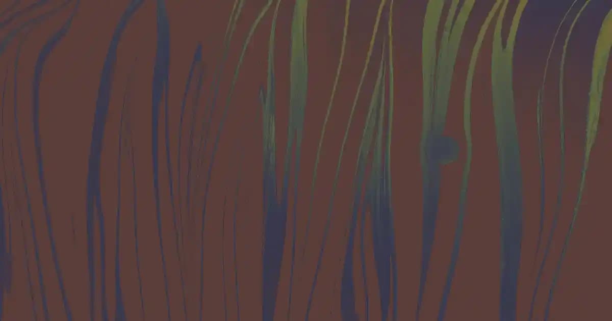 Garnier 50 Faktör Güneş Kremi 200 ml ile yüksek koruma ve uygun fiyat avantajı