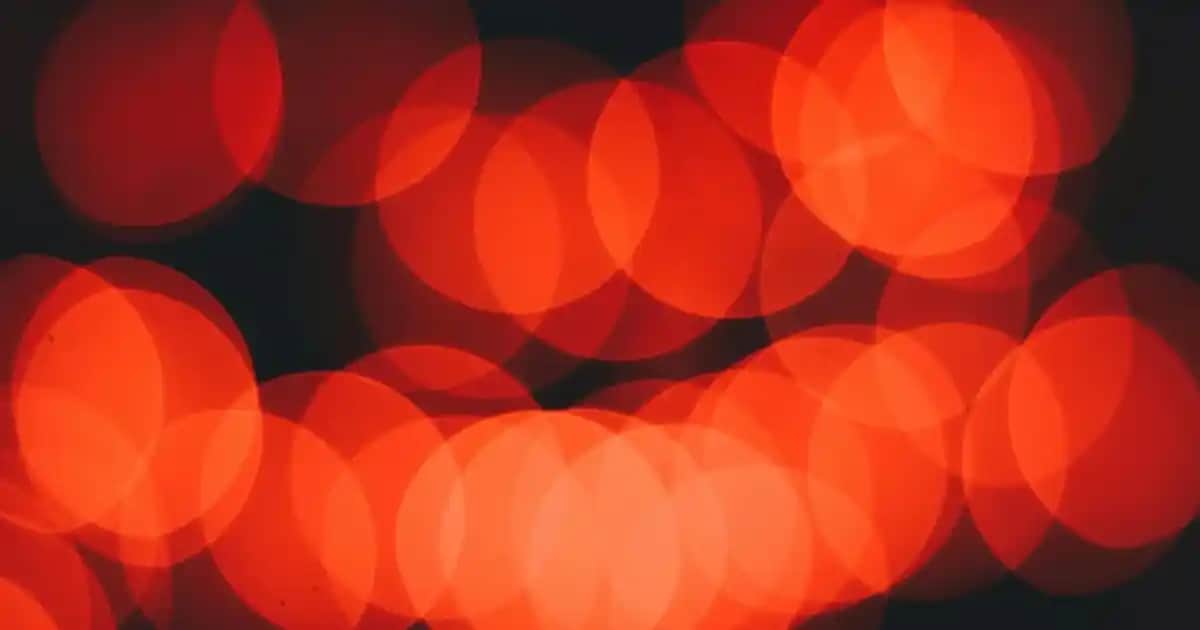 Gece Çuha Çiçeği Yağı: Kozmetik ve Sağlık Alanında Çok Yönlü Doğal Destek