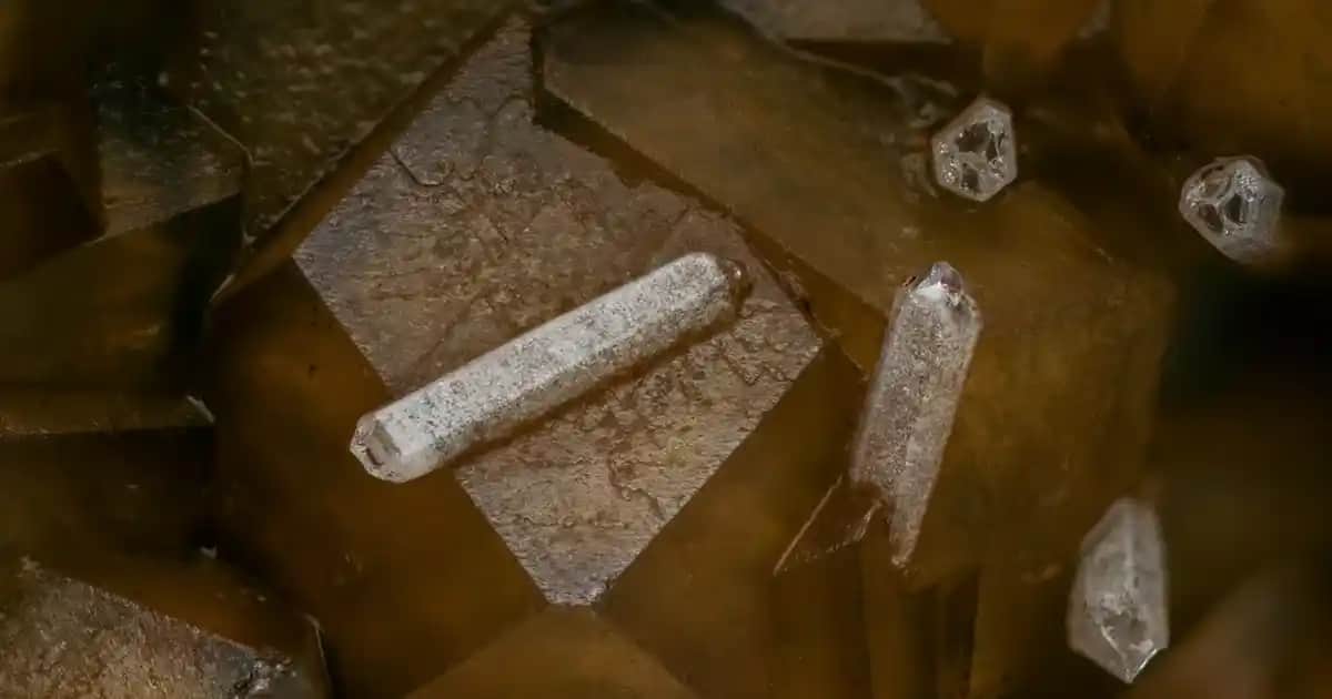 Göğüs Bakımı ve Gelişimi İçin En Etkili Kremler Hakkında Kapsamlı Bilgi ve Tavsiyeler