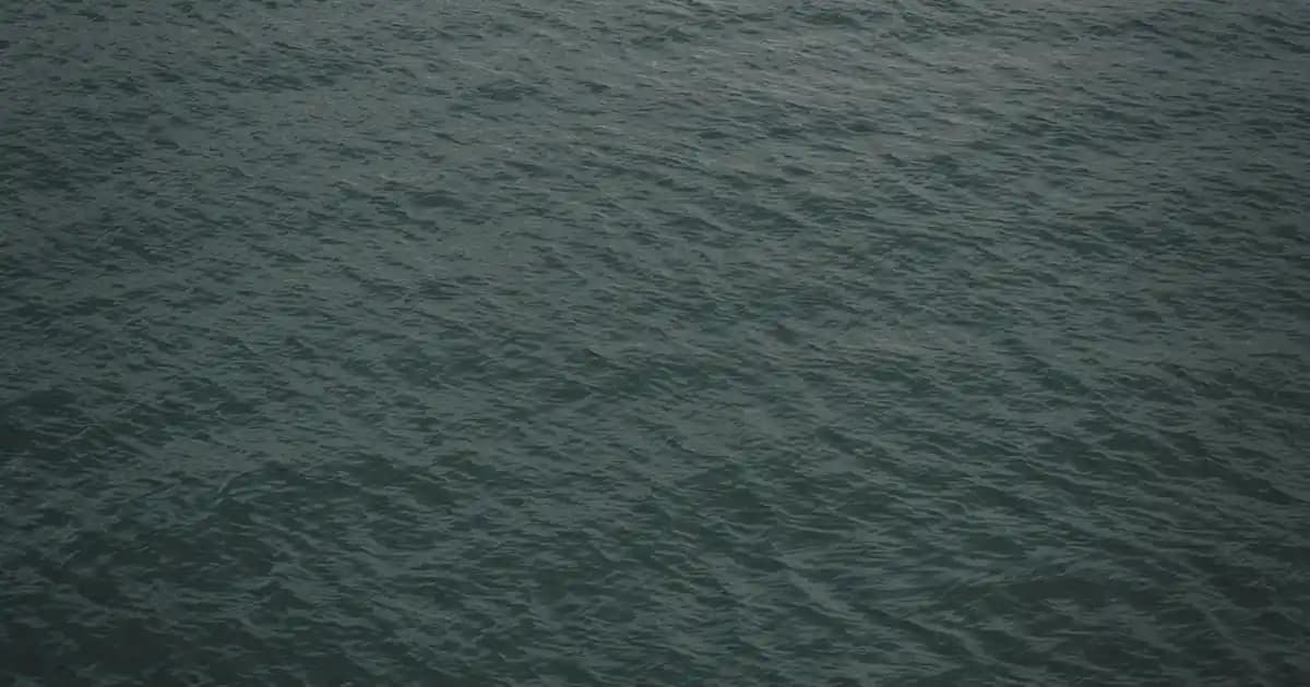 Golden Rose Longstay 20 Mat Likit Ruj ile Uzun Süreli ve Çarpıcı Dudaklar