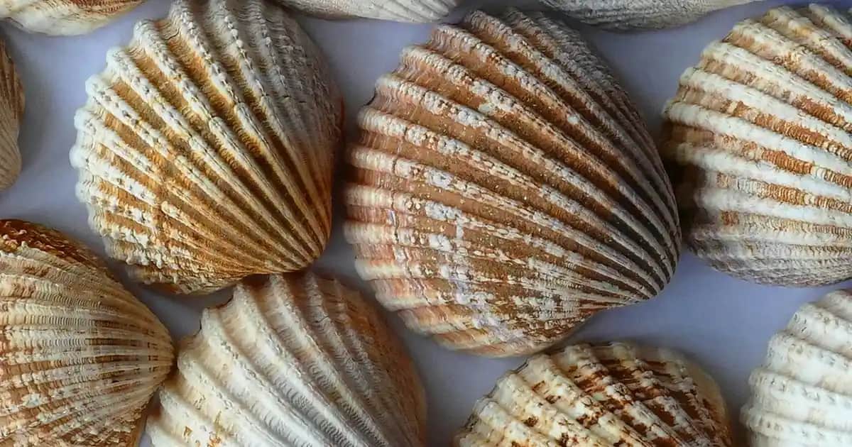 Göz Çevresi Koyu Halkaları Nedenleri ve Etkili Tedavi Yöntemleri Rehberi