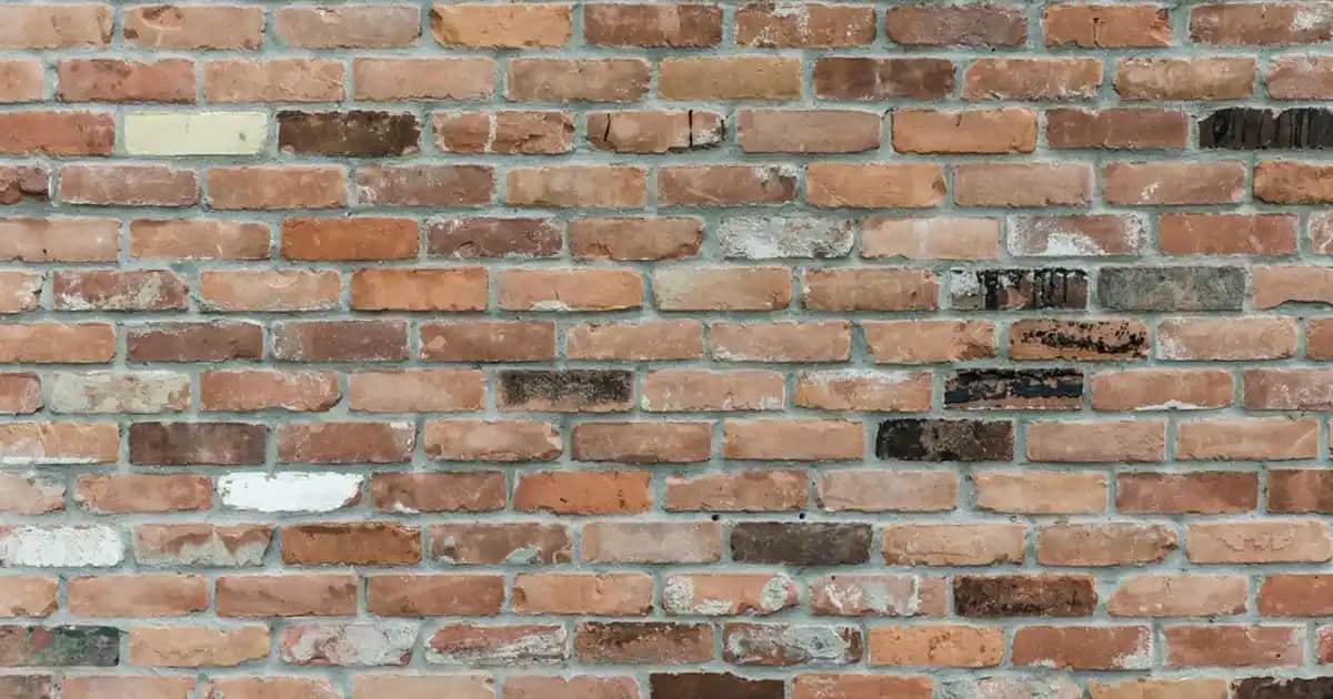 Günlük Ped Kullanımı ve Kadın Hijyeninde Pratik Çözümler Hakkında Bilgilendirici Rehber