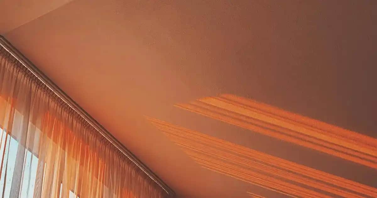 Hamilelik Test Çubuğu Kullanımı ve En Doğru Sonuçlar İçin İpuçları