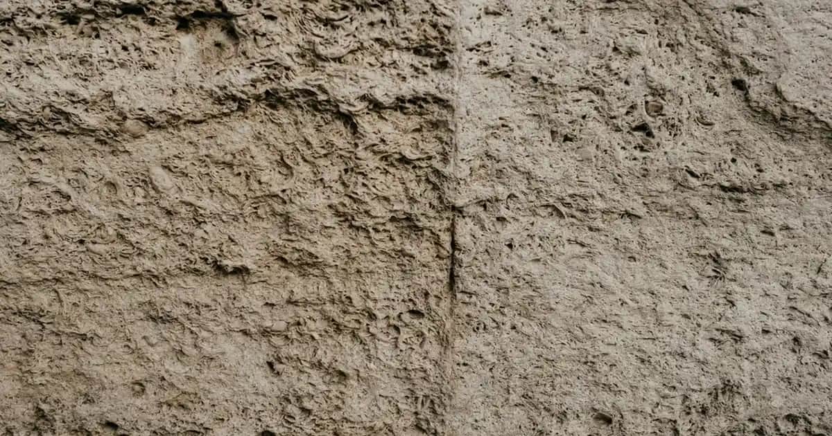 Hamilelikte Güvenli ve Doğal Yüz Maskesi Uygulamaları Hakkında Bilgiler