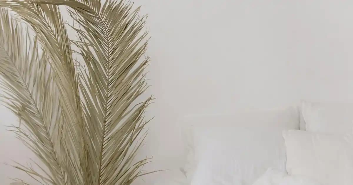 Hamilton Sensitive SPF 50+ Güneş Koruyucu: Hassas ve Kuru Ciltler İçin Güvenilir Seçenek