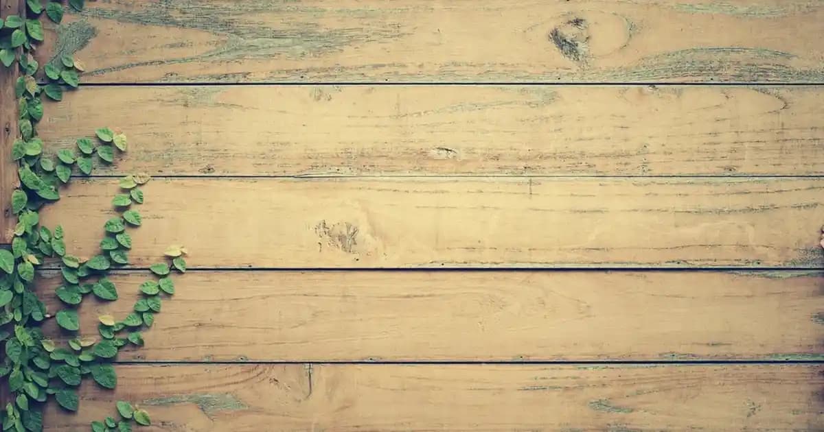 Hassas Ciltler İçin Sensibio Foaming Gel: Nazik ve Etkili Temizlik Çözümü