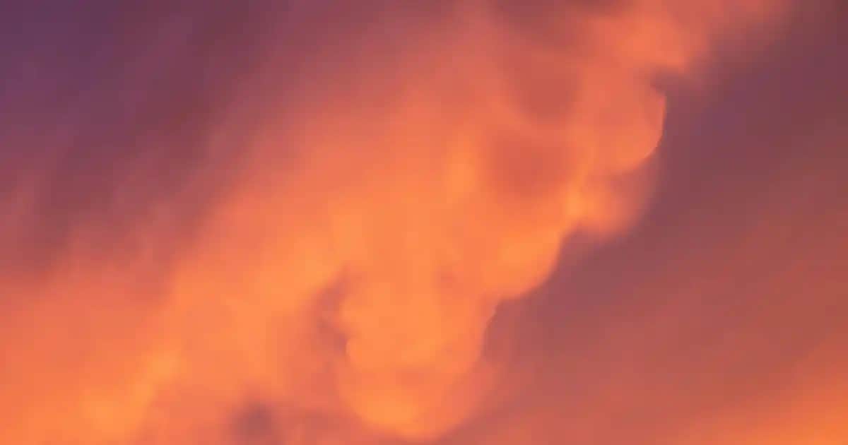 HC Care Complex ile Doğal ve Güçlü Saç Bakımı Çözümü