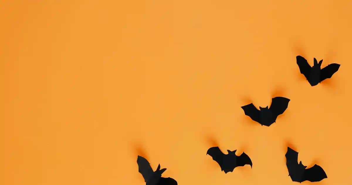 Head & Shoulders Saç Dökülmesine Karşı Güçlü ve Güvenilir Şampuan Çözümleri