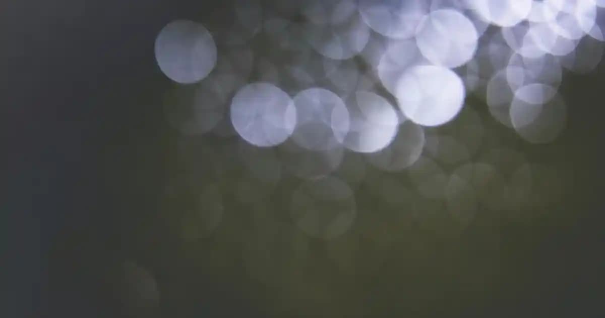 Heaven On Earth Şampuanı Doğal ve Vegan İçeriklerle Saç Sağlığını Destekler