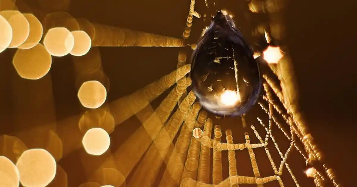 Heliocare Color Güneş Kremi: Yüksek Koruma ve Renkli Estetik Sunan Güneş Kremi