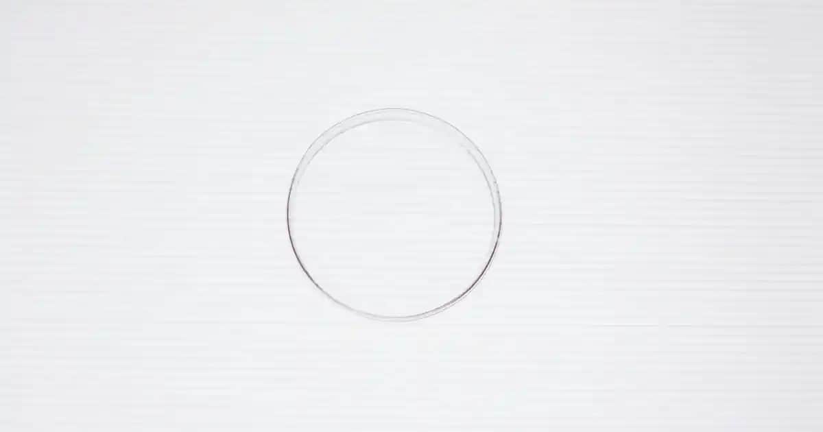 Herbaderm Serumlar: Doğal ve Etkili Cilt Bakımında Güçlü Çözüm