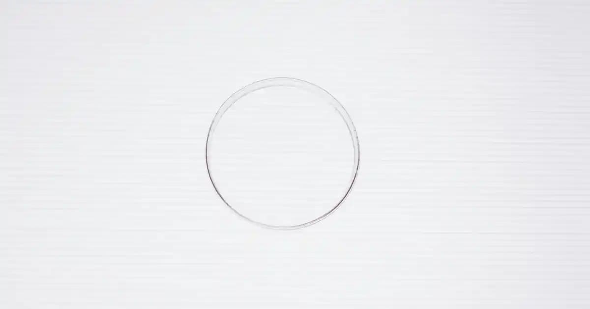 Herbaderm Serumlar: Doğal ve Etkili Cilt Bakımında Güçlü Çözüm