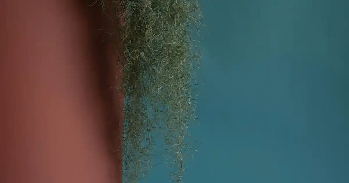 Herbal Essences Hindistan Cevizi Şampuanı: Doğal İçeriklerle Saç Bakımında Yeni Dönem