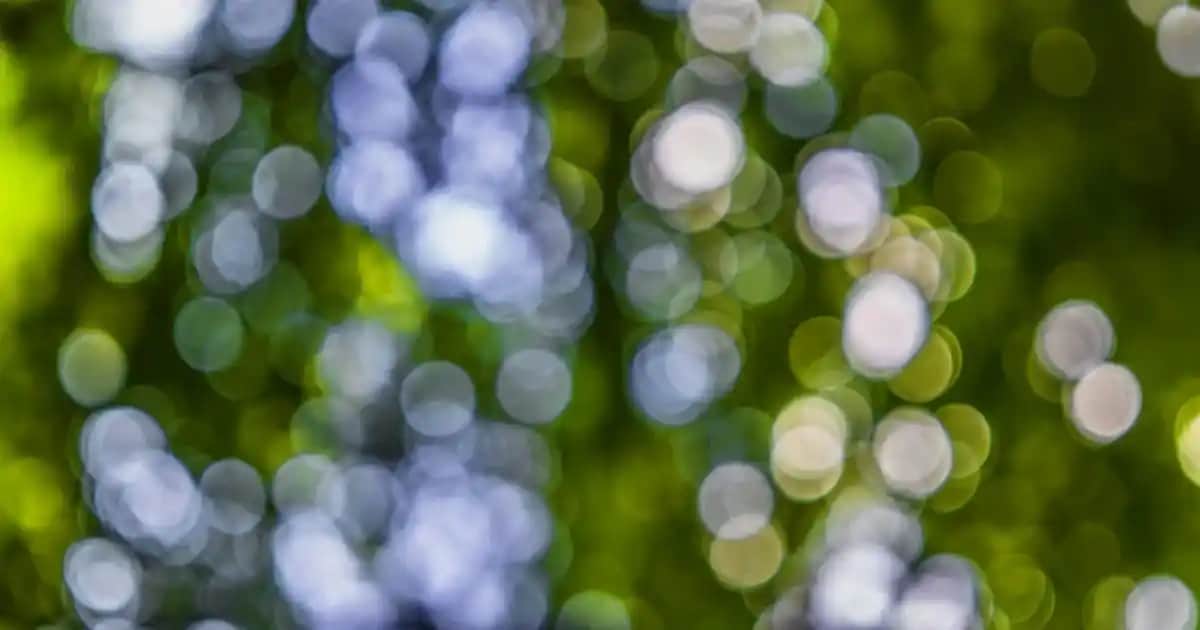 Hunca Care Keratin Şampuanı ile Saçlarınızı Güçlendirin ve Sağlıklı Hale Getirin