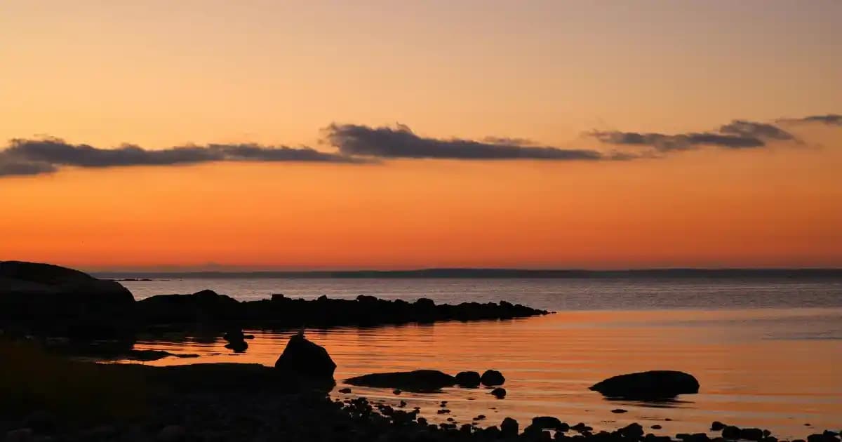 2025'te iMom Latte 60 Kapsül ile Kadınların Sağlık ve Güzellik Sırrı