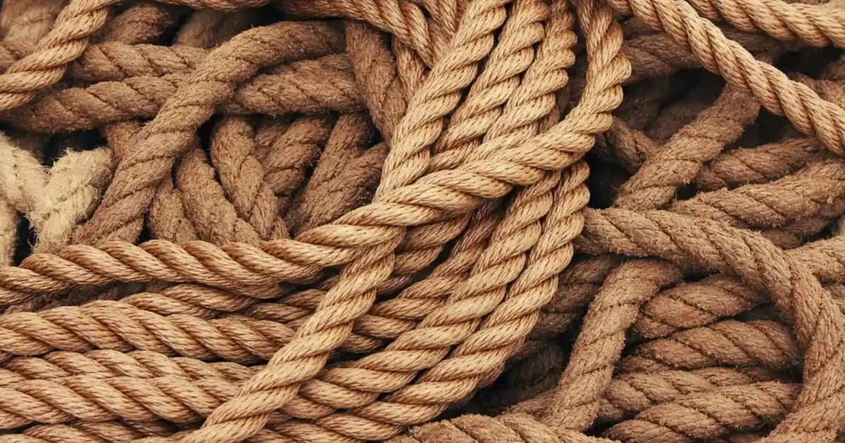 Incerto Parfüm Serisi: Modern Kozmetik Dünyasında Kalıcı ve Çekici Koku Deneyimi