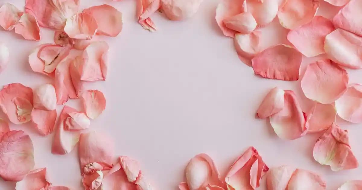 Jojoba Yağı Şampuana Katılır mı Saç Bakımında Faydaları ve Kullanım İpuçları