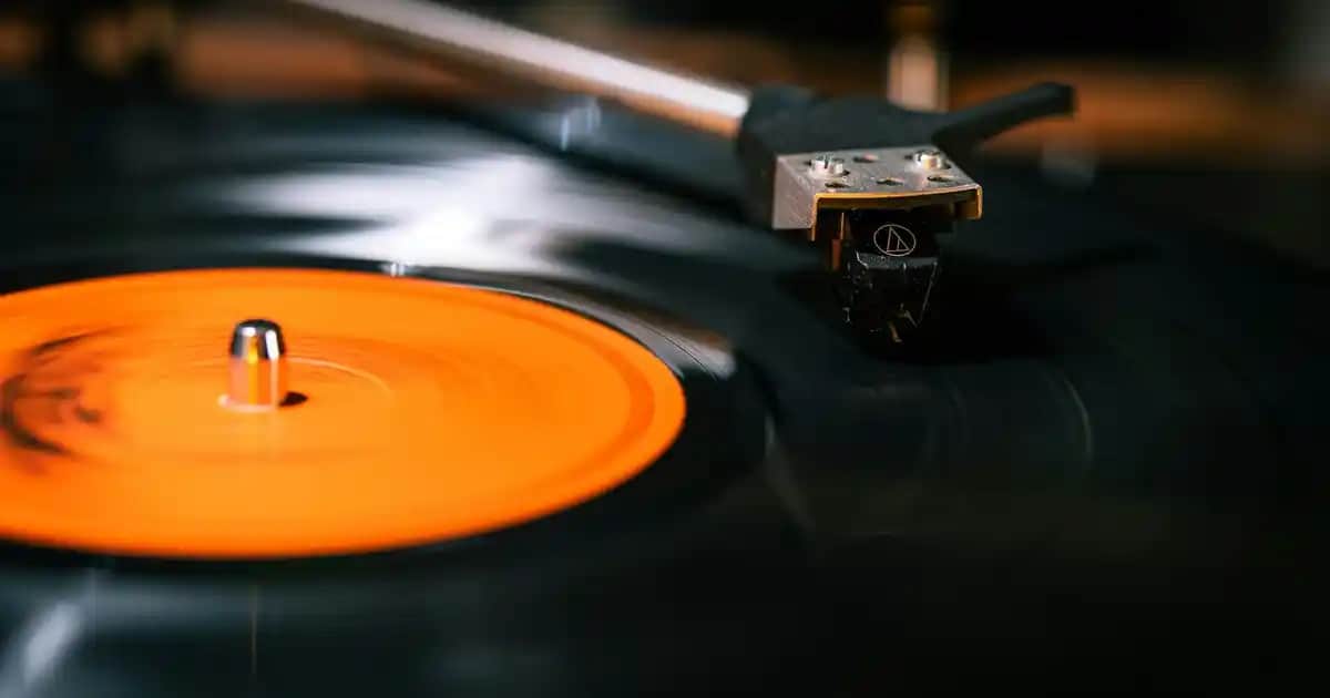 K vitamini nedir, hangi besinlerde bulunur ve sağlık ile kozmetik üzerindeki etkileri