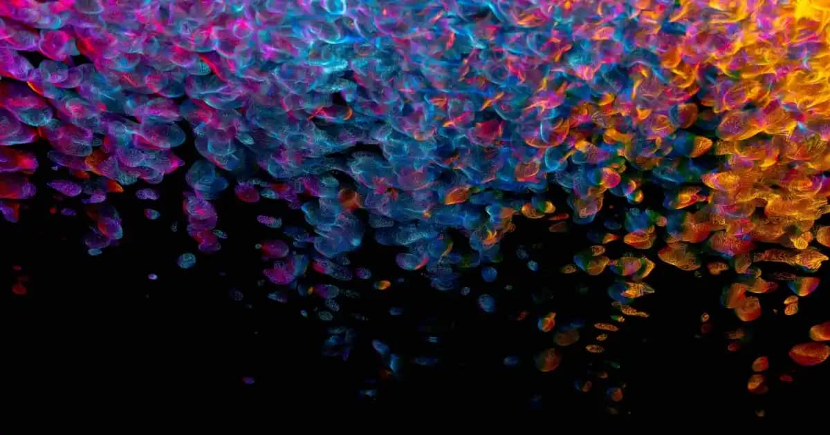 Kadın ve Erkekler İçin Intim Deodorantlar: Günlük Konfor ve Hijyen İçin Rehber