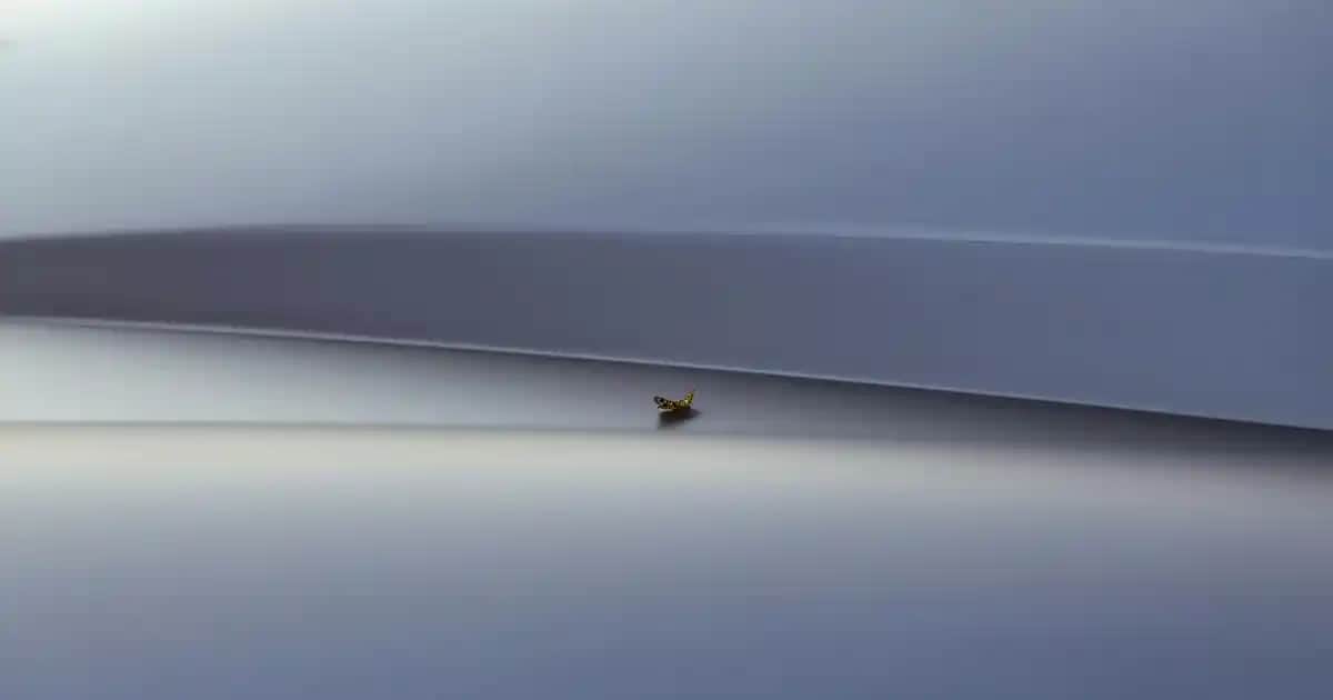 Kadınlar İçin Güvenli ve Hızlı Etkili Özel Bölge Tüy Dökücü Kremler Rehberi